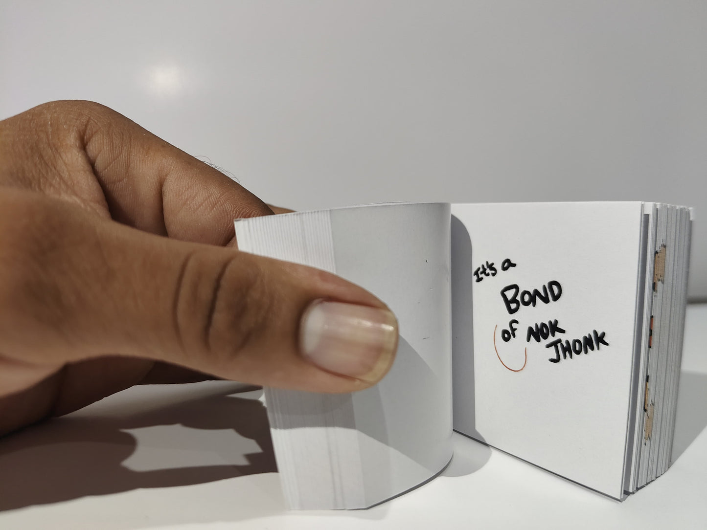 Raksha Bandhan Flipbook