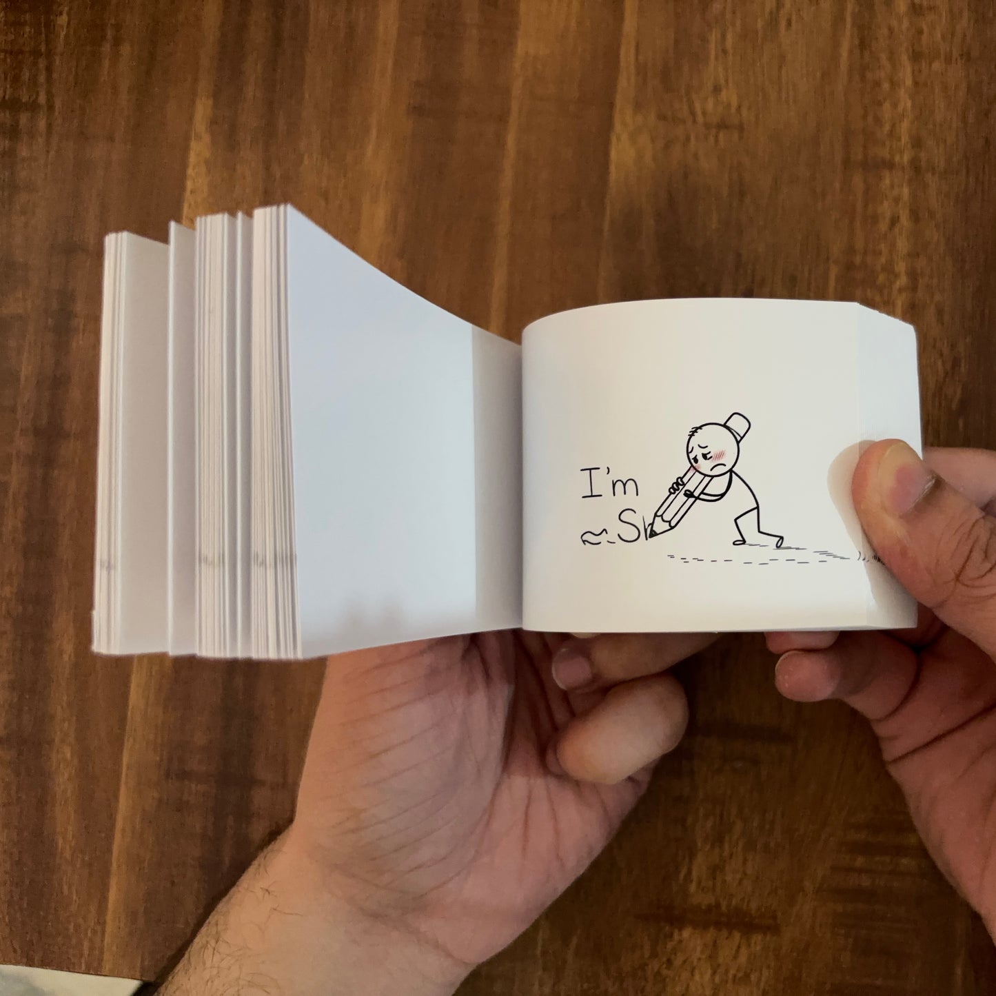 Custom Name Sorry Flipbook