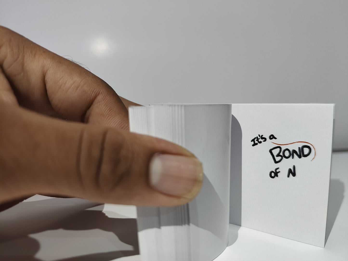 Raksha Bandhan Flipbook